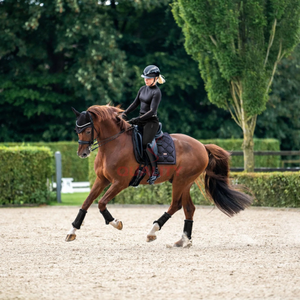 Almohadillas de sillín de diseño inglés forro suave comodidad duradera adecuada para montar nueva llegada 2025 almohadilla de sillín ecuestre - Product Image 6
