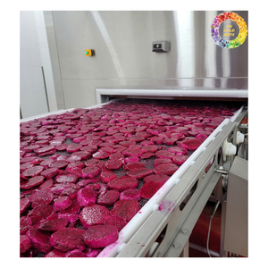 Cubes de fruits du dragon congelés/purée/forme entière, pitaya rouge et blanc IQF, fruit du dragon congelé, fruit du dragon congelé Offres Spéciales - Product Image 4