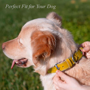 ปลอกคอสุนัขหนังวัวแท้หัวเข็มขัดโลหะหนังวัวแท้นุ่มสบายเป็นพิเศษ - Product Image 4