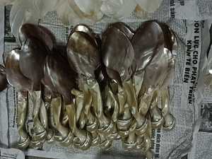 Cuillères en nacre polie faites à la main, écologiques, élégantes, motif animal, pour servir les épices, les œufs de poisson, artisanat vietnamien - Product Image 6