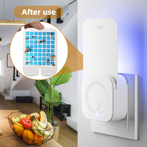 Controllo della mosca della frutta con UV LED luce colla di bordo insetto <span class=keywords><strong>Catcher</strong></span> per moscerino moscerino elettrico falena trappola per interni in cucina di casa - Product Image 1