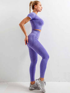 Ropa de entrenamiento personalizada al por mayor, 2 uds., conjunto de gimnasio sin costuras para mujer y trajes de Yoga - Product Image 5