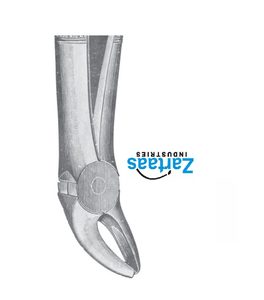Fórceps de extracción de acero inoxidable de alta calidad fig 10 exportadores y fabricante - Product Image 3