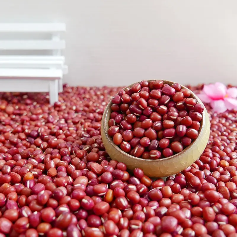 Potongan Baru Mutiara Merah Umum Kacang Merah Kecil Kacang Adzuki Bentuk Panjang Bentuk Bulat untuk Dijual
