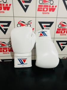 Guantes de boxeo ganadores | Producto ganador 2025 | Conjunto de boxeo profesional | OEM ODM personalizado disponible - Product Image 2
