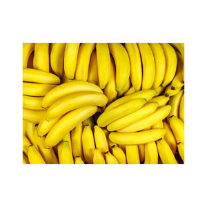 Bananes Cavendish fraîches de haute qualité variété de qualité de couleur jaune-vert pas cher prix de gros - Product Image 3