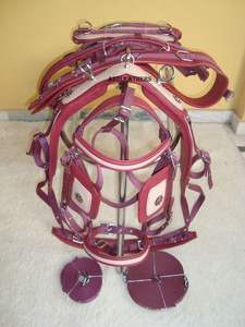 Harnais en cuir véritable de style occidental authentique avec couleur/taille/logo personnalisés TAK. Harnais de marque pour accessoires de selle occidentale - Product Image 3