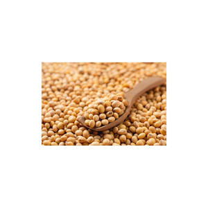 Frijoles de soja amarillos sin OGM de alta calidad, granos de soja de 8,0mm para la producción de alimentos y piensos - Product Image 3