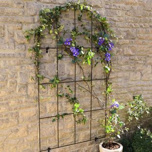 Treillis de jardin en métal décoratif pour plantes grimpantes, structure de support verticale extérieure pour l'aménagement paysager de la cour arrière de la maison - Product Image 6