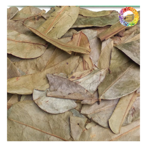 ชาใบทุเรียนเทศแห้งพร้อมใบกริโอลาแห้งใบทุเรียนเทศแห้งแบบพรีเมี่ยมใบราวิโอลาจากธรรมชาติ - Product Image 1