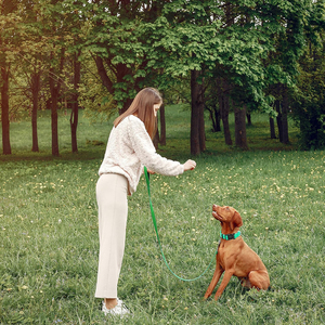 Collares de nailon menta para perros transpirables, ligeros, ajustables, de colores vibrantes, duraderos, ideales para todos los tamaños de perros - Product Image 5