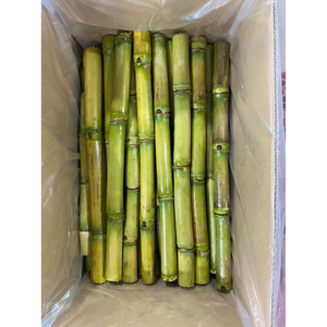 Vente en gros de bâtonnets de canne à sucre congelés du Vietnam Smoothies et boissons détox propres et prêts pour le jus - Product Image 2