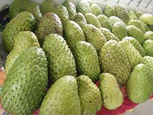 <b>Bulk</b> Supply of Soft Dried Soursop from Vietnam Naturally Sweetened with No Additives Great for Export and Private Label - Product Image 4