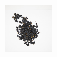 Prunes et raisins noirs séchés en vrac, naturels, biologiques, sains et sucrés, conservés à l'huile
