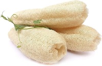 Luffa éponge gourde pot-pourri tranches pour la décoration intérieure pour la remise des diplômes de la Saint-Valentin nouvel an chinois nouvel an festivités de Pâques