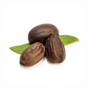 Échantillon gratuit Prix d'usine Graine de jojoba de transporteur 100% Graine de jojoba à vendre - Product Image 5