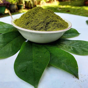 Le meilleur du Vietnam: Poudre de feuilles de corossol certifiée en vrac - Product Image 1