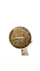 Grains de café Arabica vert S18 Clean Origin Son La Vietnam Style Emballage en vrac séché en gros à 900-1200M d'altitude - Product Image 4