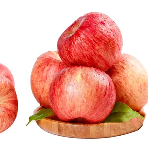 TOP Red Fresh Fuji Apfel Großhändler Lieferant mit günstigen Preis frischen Apfel Export USA Asian