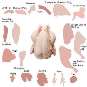Pieds de poulet et saucisses surgelés, poulet entier - Traitement IQF, qualité supérieure AA, vitamines, découpe - Product Image 2
