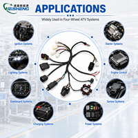 Harnais de câblage pour VTT à 4 roues, personnalisé, en PTFE, nylon, PBT, étanche IP67, assemblage multi-connecteurs