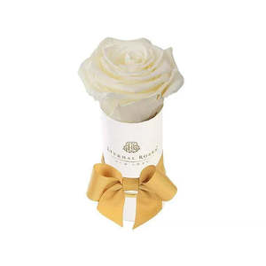 Liberty Special Gift Box Canary Single Rose Fresh Preserved Bouquets for Valentine's Day Mother's Day Graduation Natural - Product Image 1