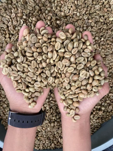 Réductions exceptionnelles sur les grains de café Arabica vert torréfiés, grains de café vietnamiens en vente - Product Image 5