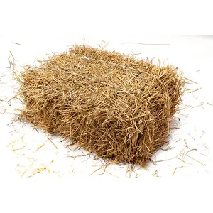 Equipo confiable contemporáneo para la fabricación de paquetes de paja cuadrados medianos estilo seco; Parte completa para uso agrícola y alimentario - Product Image 4