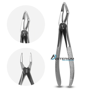 Pinces d'extraction dentaire manuelles Asterium Instruments en acier inoxydable, certifiées CE, autoclavables, ergonomiques - Product Image 2