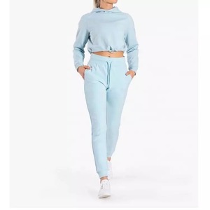 Haute qualité personnalisé femmes coton français éponge plaine sweat haut court capuche Style Streetwear pour l'hiver maximiser l'usure - Product Image 4