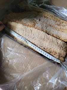 Rollo de Calamar Seco al por Mayor, Bocadillo de Marisco Natural, Calamar Seco con Alto Contenido de Proteína para Exportación, Sra. Gloria - Product Image 3