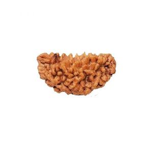 Hạt Rudraksha Nâu Tự Nhiên Từ 1 Đến 6 Mặt Rudrksha Dành Cho Pooja Và Thiền Định Từ Ấn Độ - Product Image 4