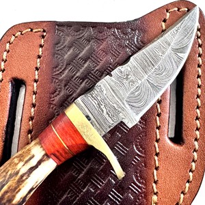 Couteau de poche polyvalent à dos droit de qualité industrielle - Product Image 3