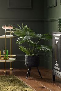 Cesta de maceta de ratán de Diseño Artesanal, decoración interior y balcón, macetas, Mini contenedores de plantas - Product Image 2