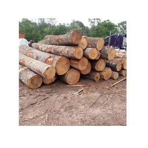 Tronco de madera duro redondo de teca al por mayor con el precio más barato - Product Image 3