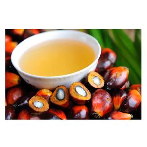 Huile de palme raffinée en vrac à vendre, excellente qualité pour la cuisine et la fabrication alimentaire, livraison rapide dans le monde entier - Product Image 5