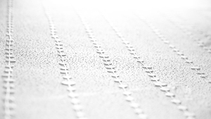 Fabriqué en Allemagne-Rouleaux de papier peint enduits Papier peint en vinyle blanc non tissé à peindre pour peinture de costumes-25,00x1,06 m - Product Image 5