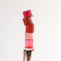 Natinda coréen maquillage rouge à lèvres 04 Secret rose 3.5g OEM vente en gros vente chaude Art noir rouge à lèvres avec marque privée