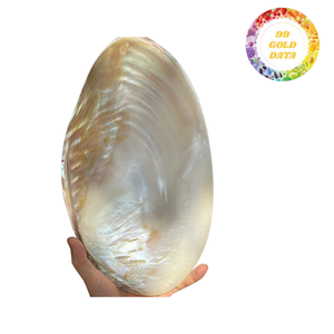 Plato de Concha Natural de Lujo, Plato de Nácar para Servir Caviar, Plato de Concha Premium para Exhibición de Joyas, Decoración del Hogar - Product Image 6