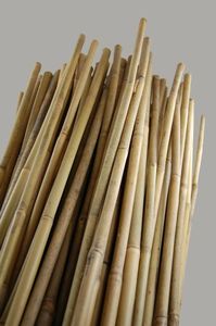 Postes de bambú 100% naturales: tamaños personalizados flexibles de 2-20m de longitud para agricultura Eco2go Vietnam - Product Image 4