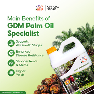 Fertilizante Líquido Orgánico Bio GDM Premium para Plantaciones de Palma Aceitera, Acondicionador de Suelo, Crecimiento Radicular y Alto Rendimiento - Product Image 6