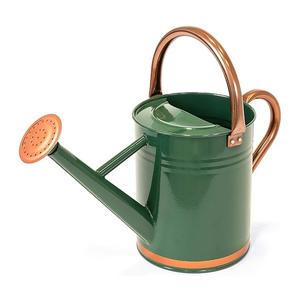 Arrosoir en métal de vente chaude pour les plantes d'extérieur et d'intérieur arrosoir de jardinage galvanisé avec poignées en acier inoxydable - Product Image 1