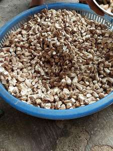 TIGES SHIITAKE BIOLOGIQUES PREMIUM ORIGINE VIETNAM: UNE COLLATION NUTRITIVE ET À LA SAVEUR - Product Image 5