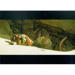 Cartes postales édition spéciale pour diverses occasions, notamment le Nouvel An, et souvenirs ou cartes de remerciement - Product Image 1