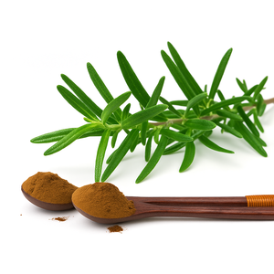 Высококачественный натуральный экстракт розмарина в порошке | 100% органический пищевой консервант розмариновая кислота | Заводские поставки для продуктов питания - Product Image 5