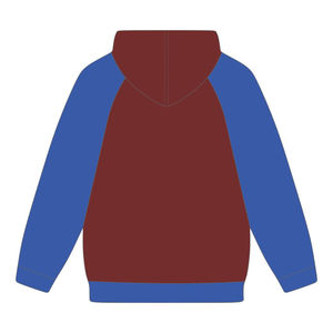 Sudadera con Mangas Raglán de la Hermandad Sigma Gamma Rho, Bordado Chenille, Ropa de la Hermandad Griega Divine Nine, Personalizada SGRho, para Graduados de HBCU - Product Image 3