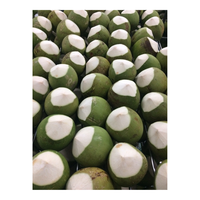 Coco fresco de alta calidad, dulce, natural, para muchos propósitos, embalaje en caja de cartón, hecho en el fabricante de Vietnam