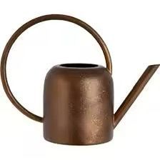 Arrosoir en métal Mini petit pot de pulvérisation d'eau avec buse détachable Arrosoir en métal intérieur et extérieur - Product Image 1