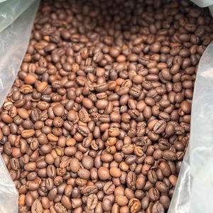 Café Robusta Bio Torréfié et Moulu Premium, Noir Brisure, Seulement 0,1%, Certifié USDA, Norme d'Exportation, Marque TNFOOD, Grade AA+, 98% - Product Image 1