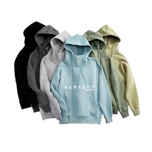 Sudaderas con capucha lisas de peso pesado en blanco de alta calidad, sudaderas con capucha térmicas Unisex de talla grande para hombre con logotipo personalizado - Product Image 1
